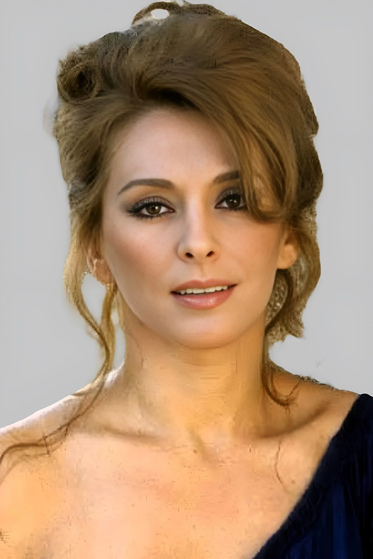 Nieves Navarro