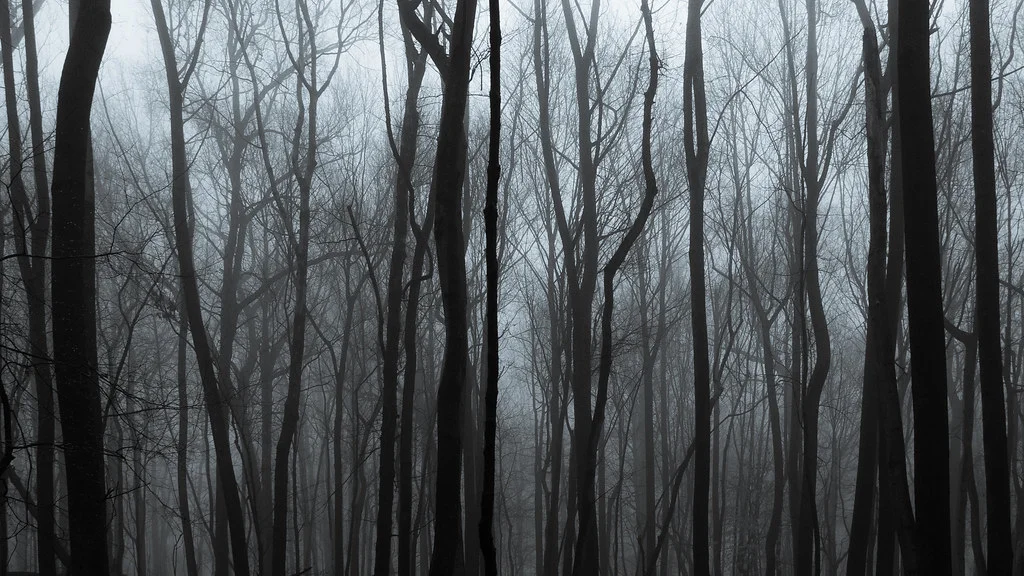 Amerikai Horror Story - 7. évad (2011) a legkeresettebbek közt