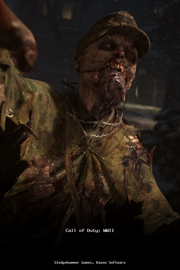 Call of Duty®: WWII poszter