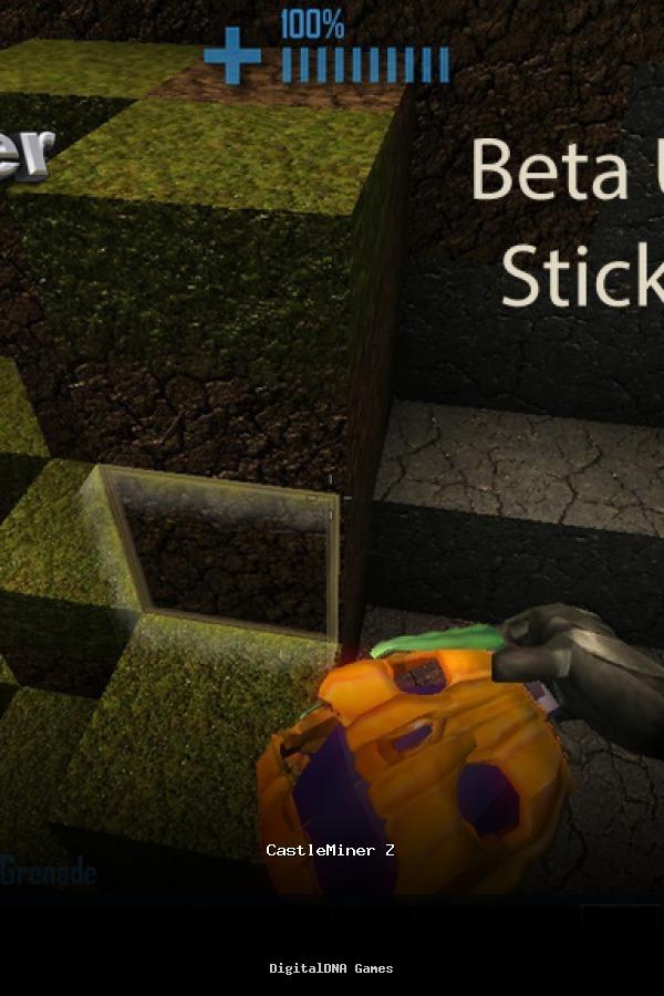 CastleMiner Z poszter