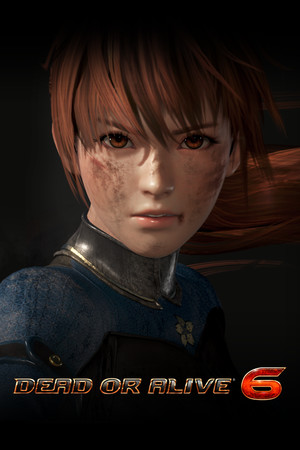 DEAD OR ALIVE 6 poszter
