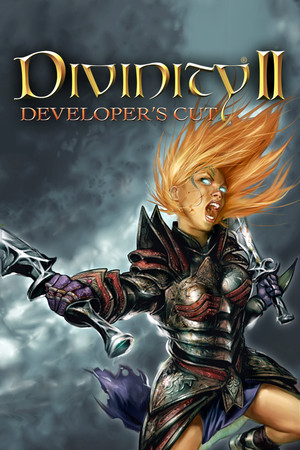 Divinity II: Developer's Cut poszter