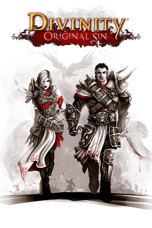 Divinity: Original Sin (Classic) poszter