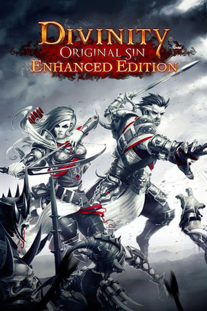 Divinity: Original Sin - Enhanced Edition poszter