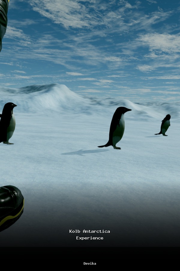Kolb Antarctica Experience poszter