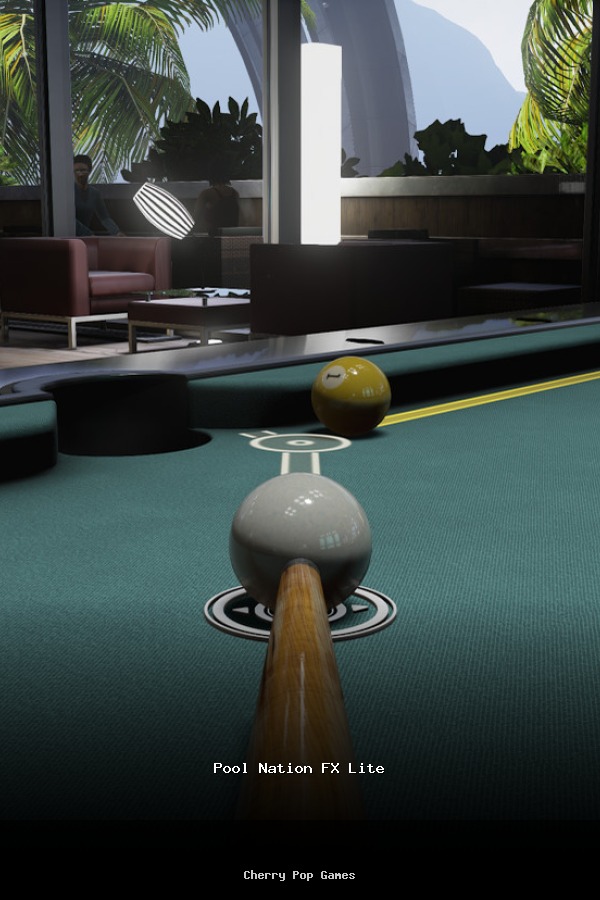 Pool Nation FX Lite poszter