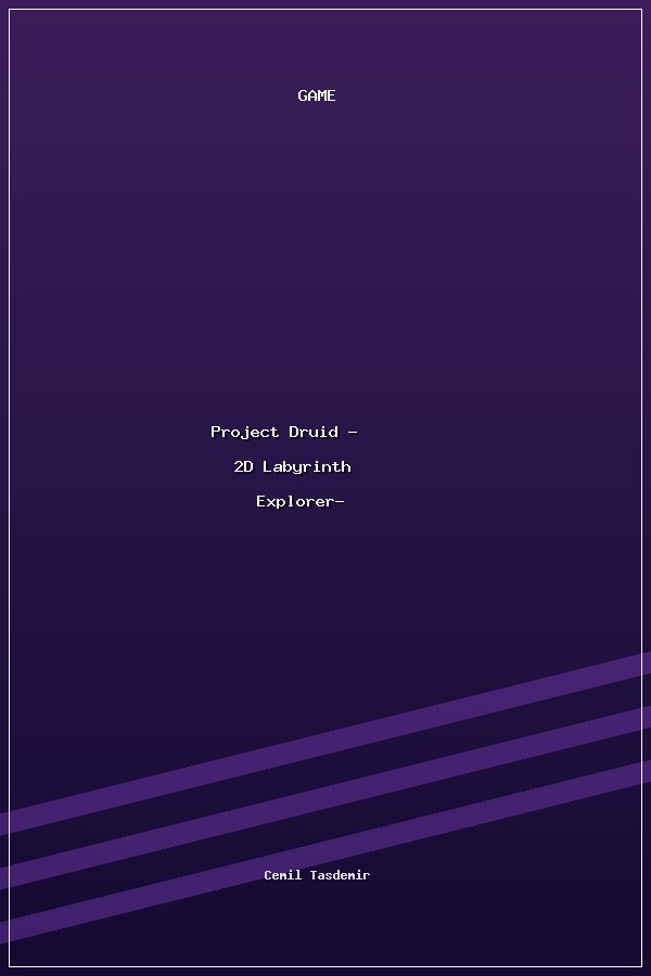 Project Druid - 2D Labyrinth Explorer- poszter