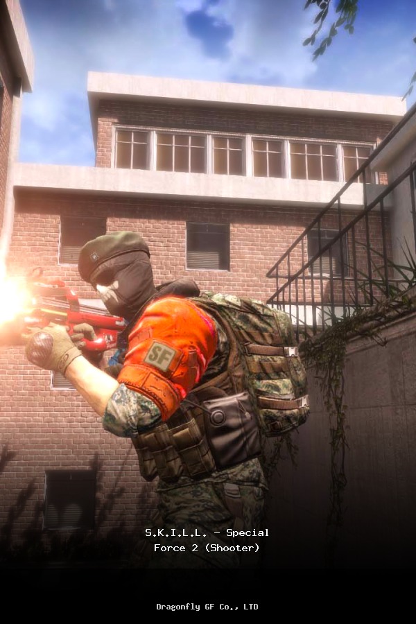 S.K.I.L.L. - Special Force 2 (Shooter) poszter
