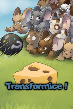 Transformice poszter