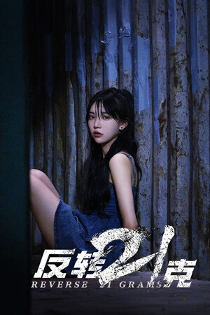 反转21克 poszter