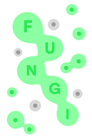FUNGI poszter