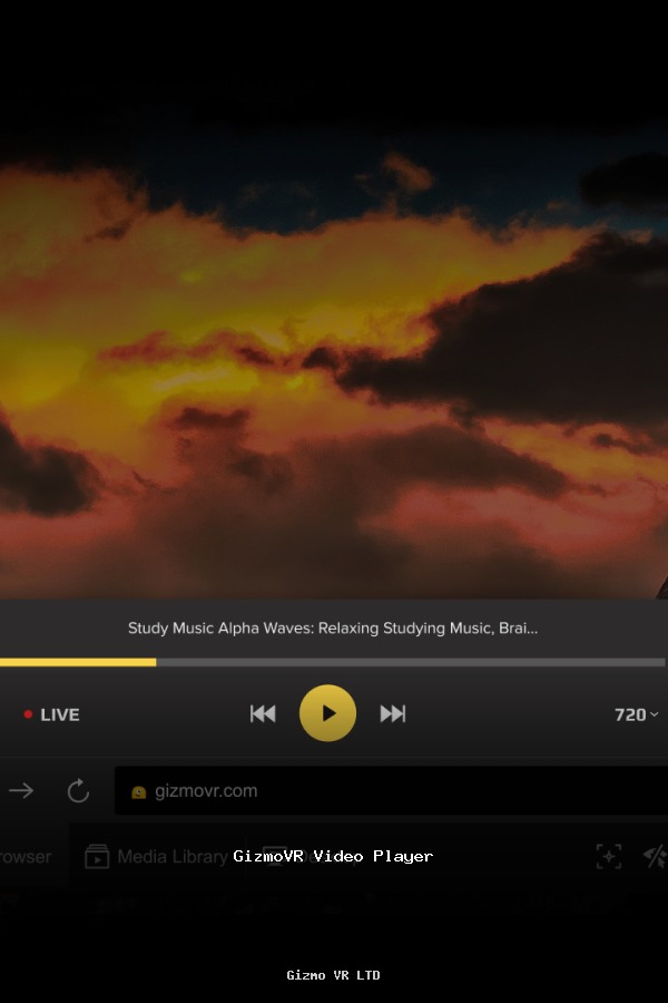 GizmoVR Video Player poszter