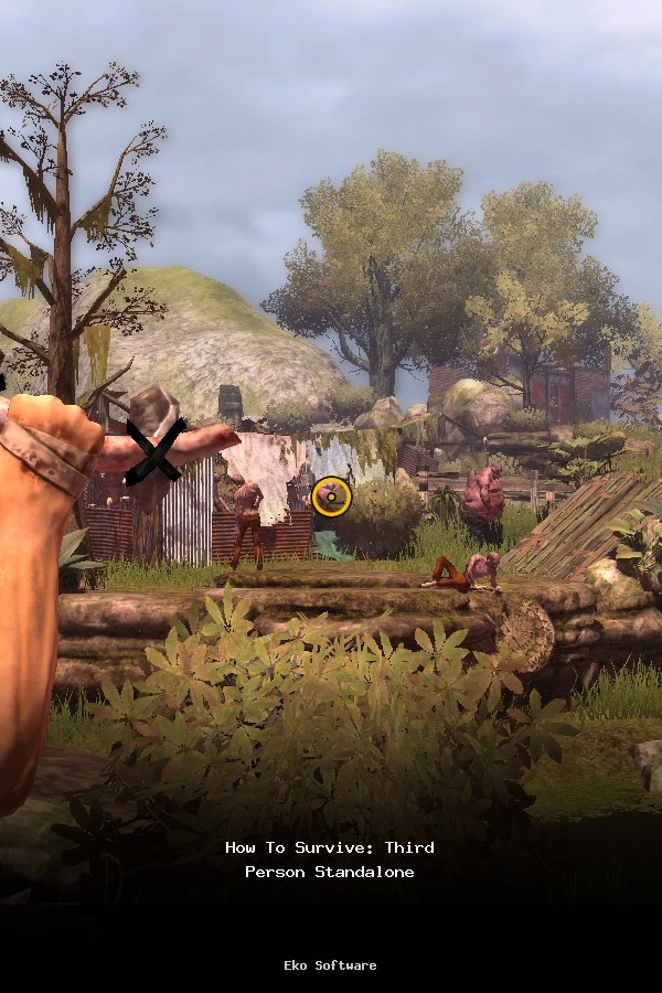 How To Survive: Third Person Standalone poszter