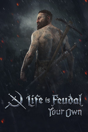 Life is Feudal: Your Own poszter