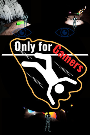 Only for Gamers poszter