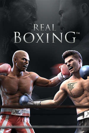 Real Boxing™ poszter