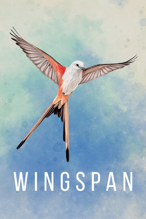 WINGSPAN (FESZTÁV) poszter