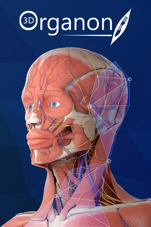 3D Organon poszter