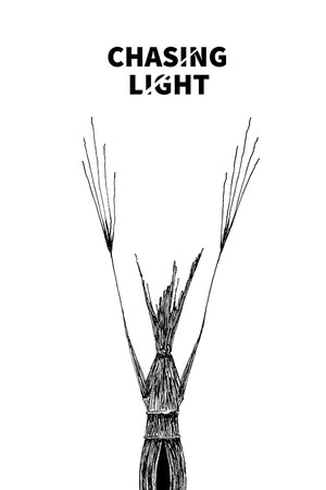 Chasing Light poszter