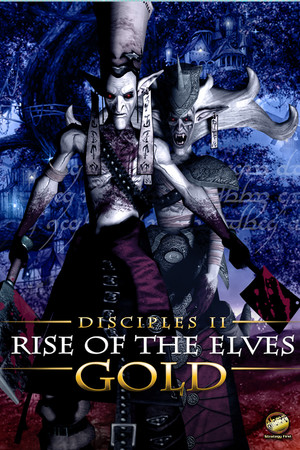 Disciples II: Rise of the Elves  poszter