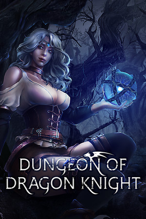 Dungeon Of Dragon Knight poszter