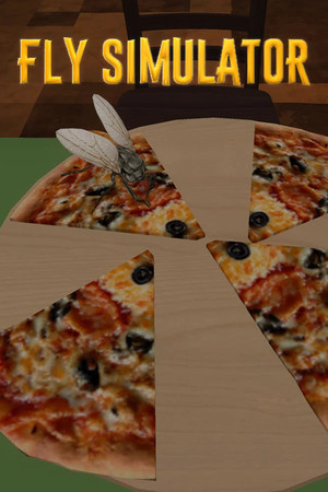 Fly Simulator poszter