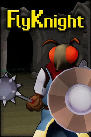 FlyKnight poszter