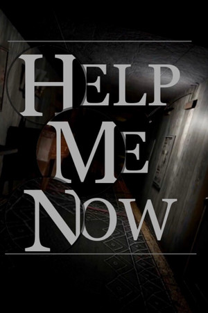 Help Me Now poszter