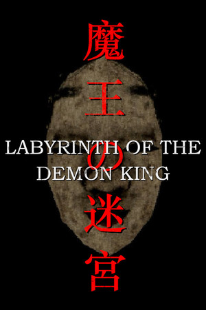Labyrinth Of The Demon King poszter