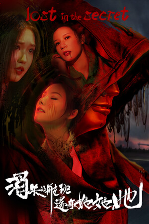 消失的航班，还有她她她！Lost in the secret! poszter