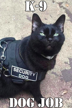 K-9 Dog Job poszter