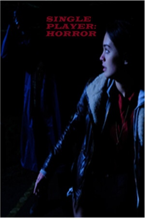 Single Player: Horror poszter
