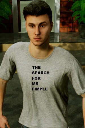 The Search for MR Fimple poszter