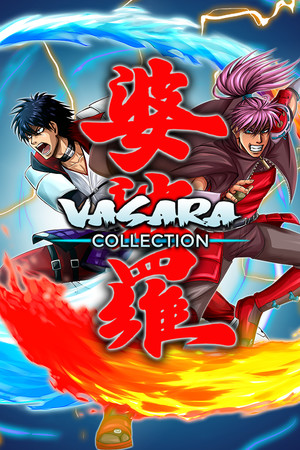 VASARA Collection poszter
