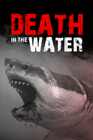 Death in the Water poszter