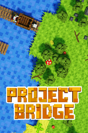 Project Bridge poszter