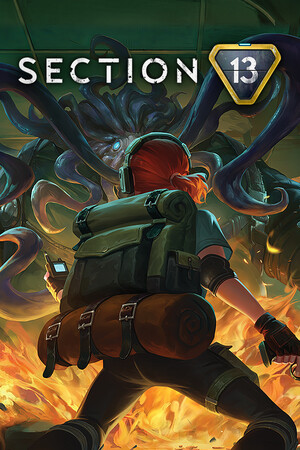 Section 13 poszter