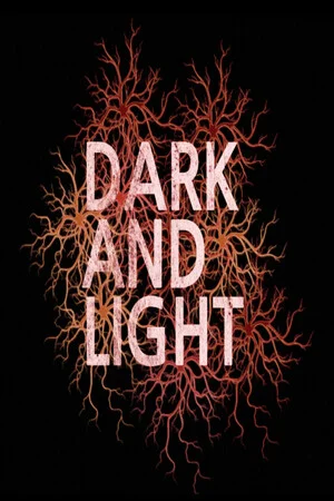 DarkAndLight poszter