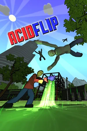 Acid Flip poszter
