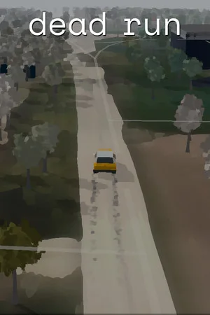dead run poszter