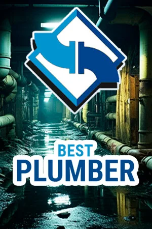 Best Plumber poszter