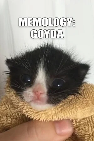 MEMOLOGY: GOYDA poszter