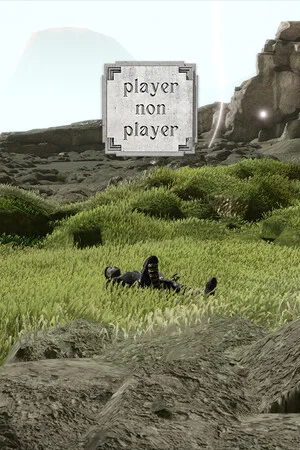 Player Non Player poszter