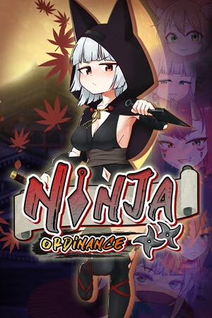 Ninja Ordinance poszter