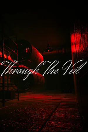 Through The Veil poszter
