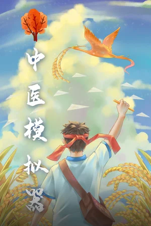中医模拟器 poszter