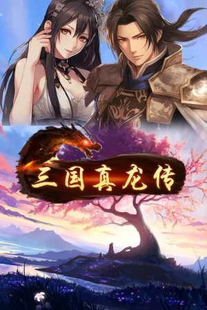 三国真龙传 poszter