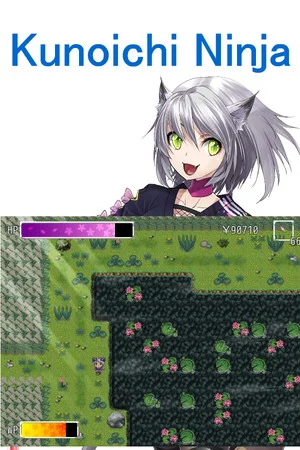 Kunoichi Ninja poszter