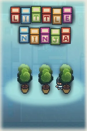 Little Ninja poszter