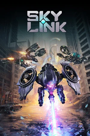Sky Link poszter
